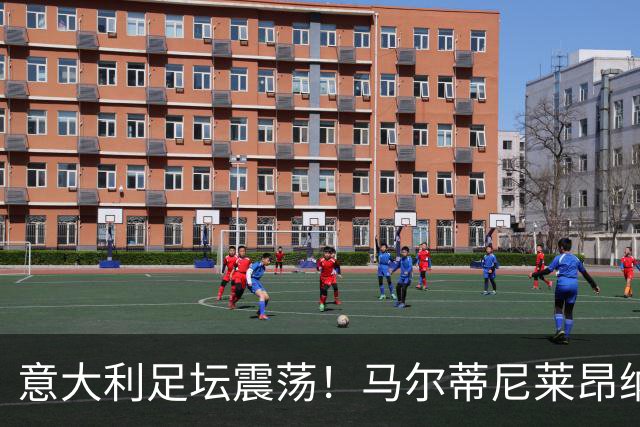 意大利足坛震荡！马尔蒂尼莱昂纳多上任16天辞职 曼奇尼有望执教