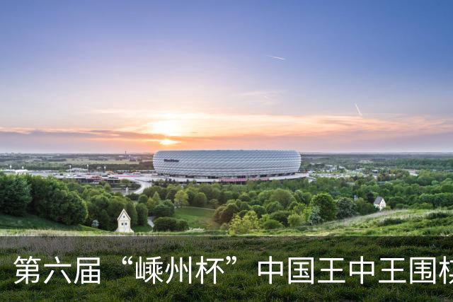 第六届“嵊州杯”中国王中王围棋争霸赛开幕