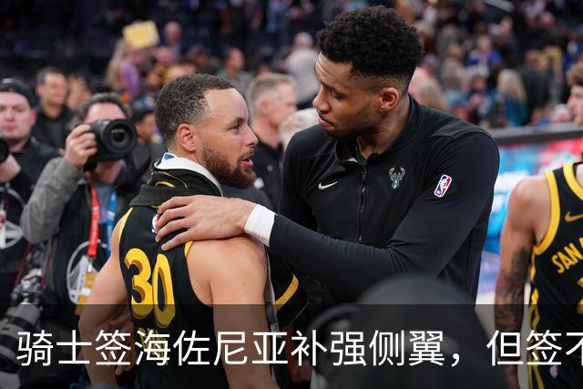 骑士签海佐尼亚补强侧翼，但签不下库明加就是失败