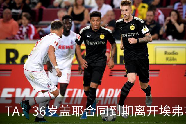 TA：36岁盖耶合同到期离开埃弗顿，双方未能达成续约协议